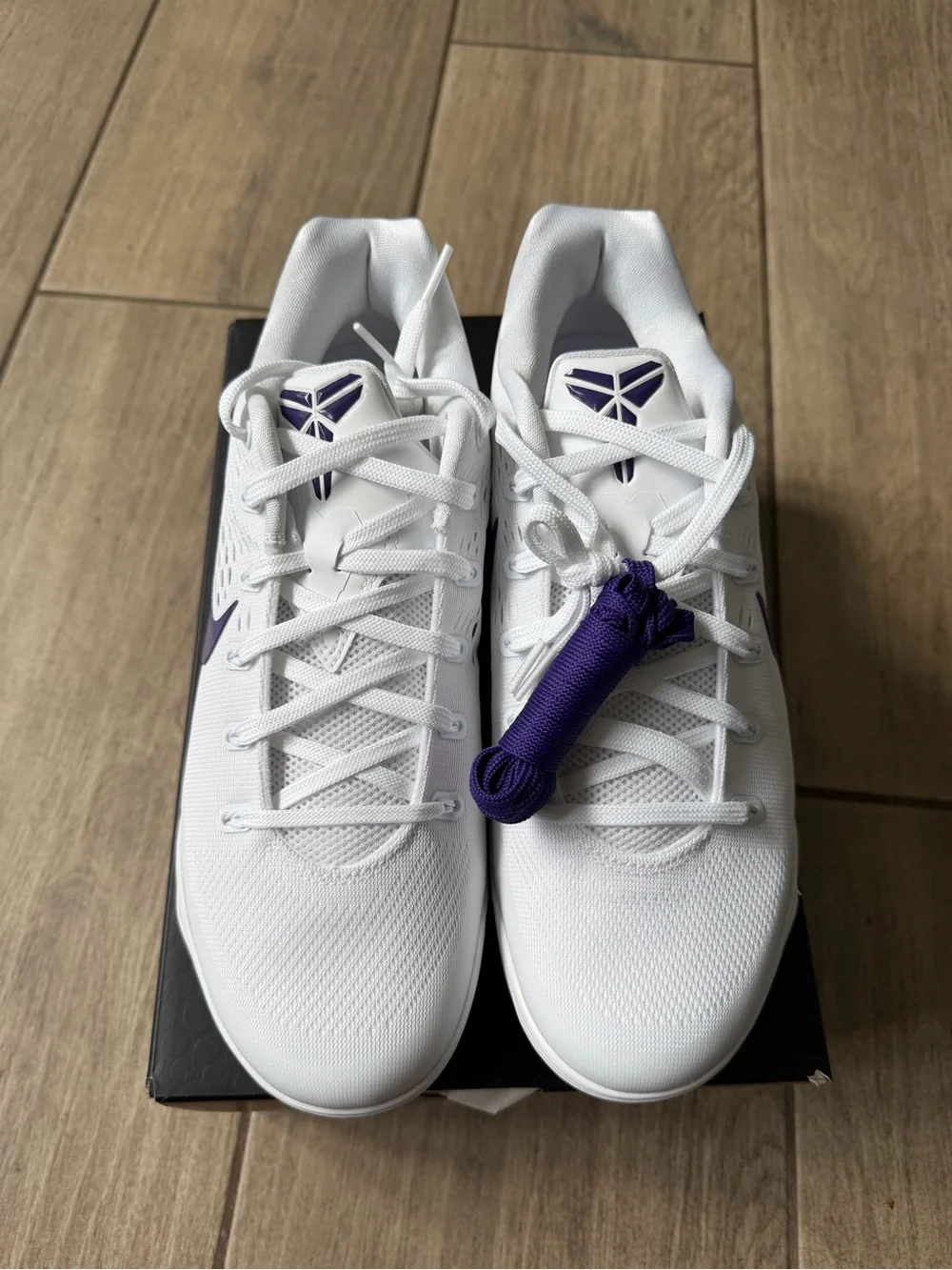 Nike Kobe IX Elite Low EM Protro
